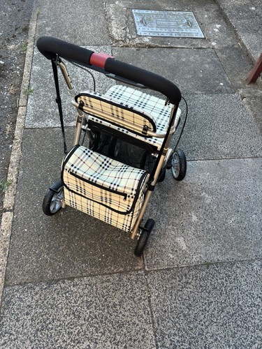 Disability shopping buggy - disability,