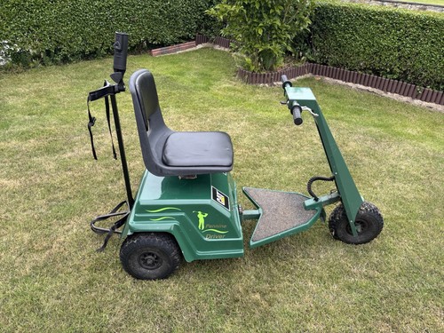 Golf buggy elderly disabled - golf,